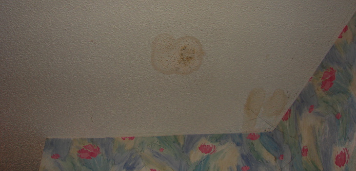 Ceiling water spots