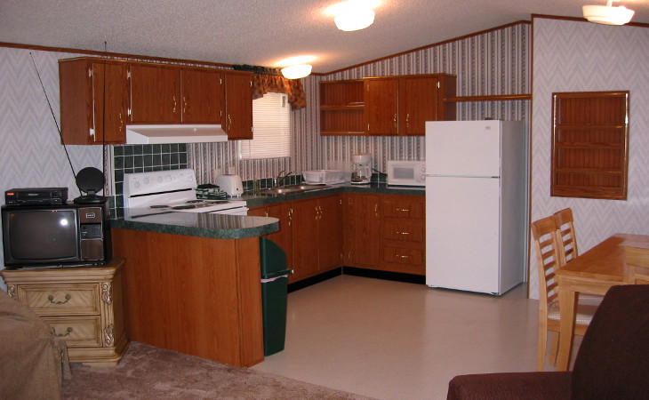 Reused old cabinets