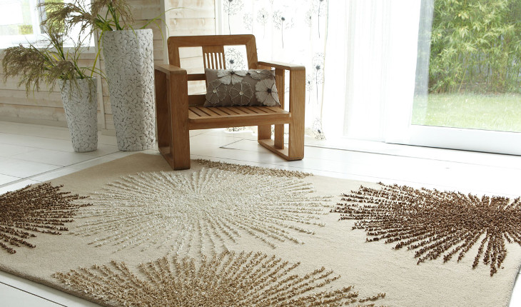 Rugs on living room floor