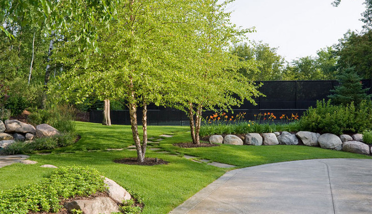 Trees for home landscaping