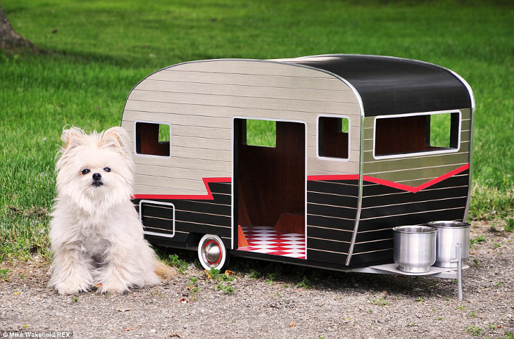 Pet and its mobile home