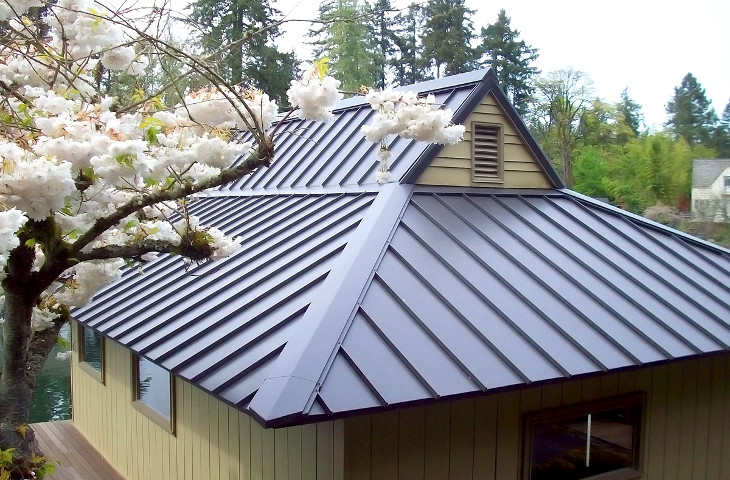 House with metal roofing