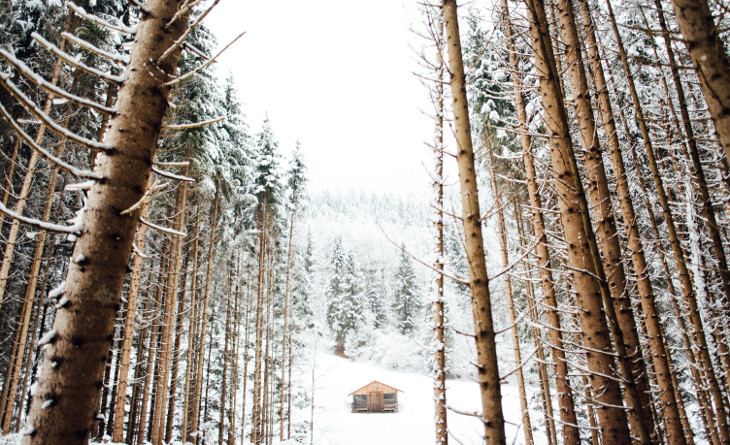 Log cabin during winter