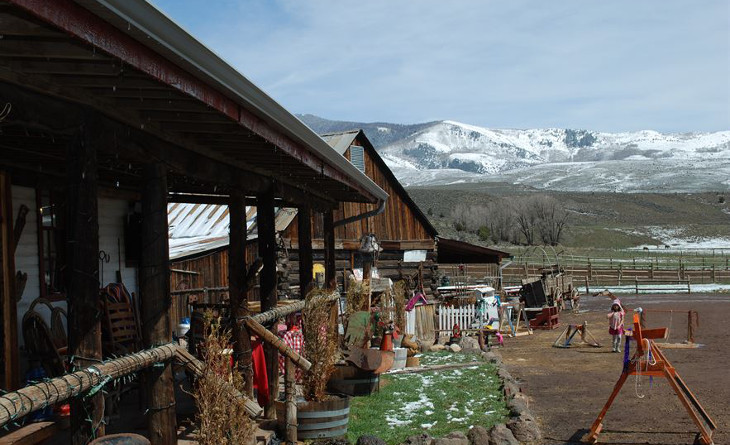 Log cabin homes