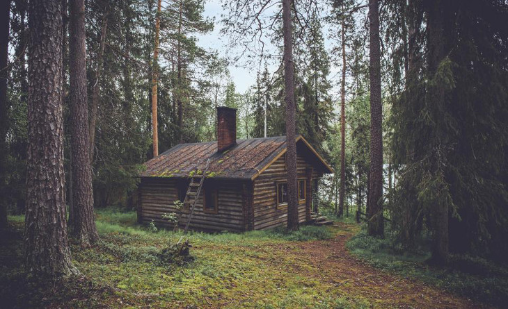 Log home in forest