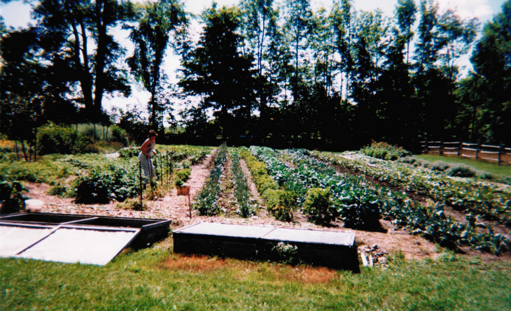 Off grid food garden