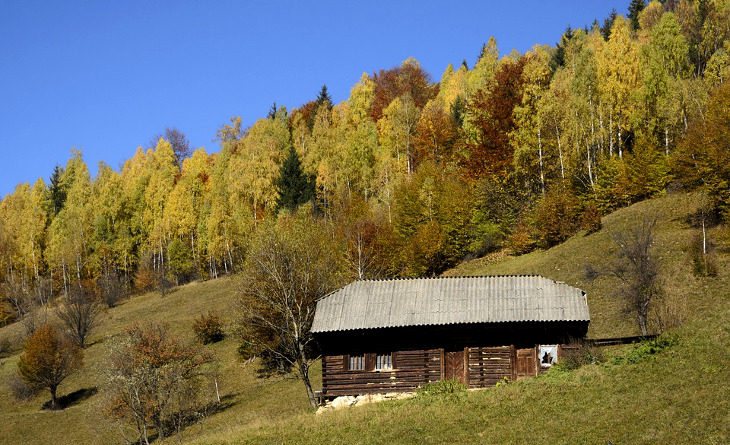 Off the grid log cabin